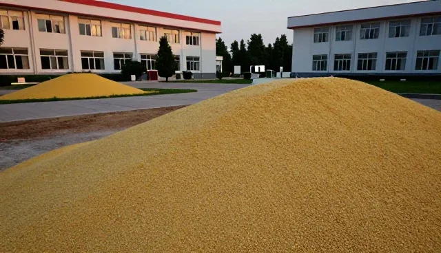 提升农业技术应用效率的关键操作指南